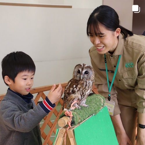 インスタに投稿された画像