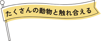 たくさんの動物と触れ合える