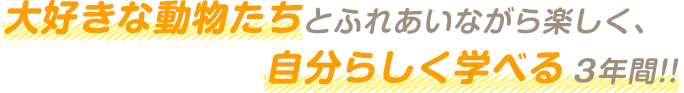 大好きな動物たちとふれあいながら楽しく、自分らしく学べる3年間！！