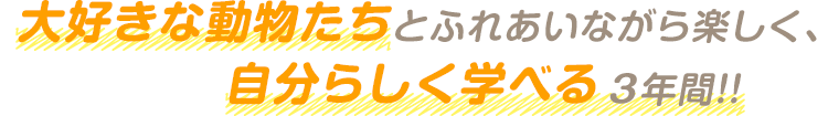 大好きな動物たちとふれあいながら楽しく、自分らしく学べる3年間！！