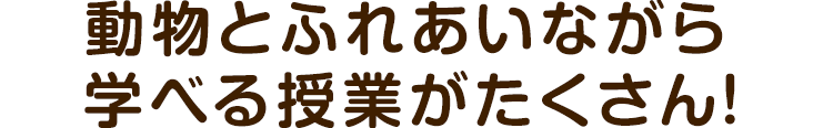 動物とふれあいながら学べる授業がたくさん！