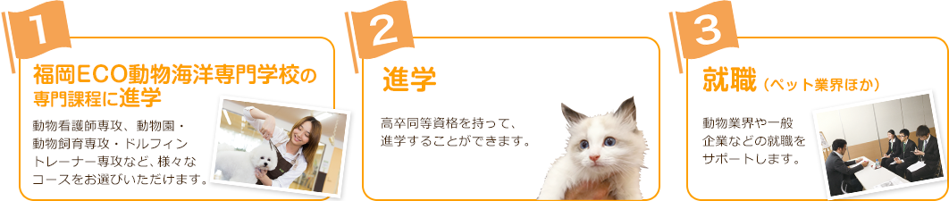 福岡ECO動物海洋専門学校の専門課程に進学や就職、進学など