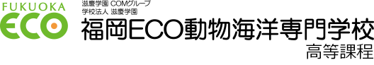 福岡ECO高等課程